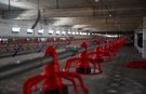 20 milyon TL’lik Broiler tesisi üretime başladı