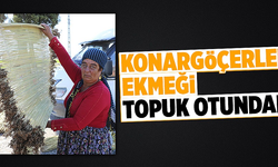 Konargöçerlerin ekmeği topuk otundan