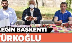 Çileğin başkenti Türkoğlu