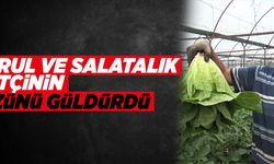 Marul ve salatalık çiftçinin yüzünü güldürdü 