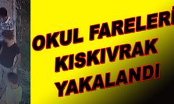 Okul fareleri, kıskıvrak yakalandı