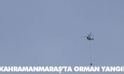 Kahramanmaraş’ta orman yangını