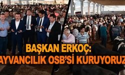 Başkan Erkoç: “Hayvancılık OSB’si kuruyoruz”