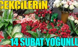 Çiçekçilerin 14 Şubat yoğunluğu