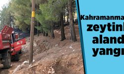 Kahramanmaraş’ta zeytinlik alanda yangın