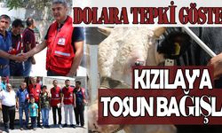 Dolara tepki gösterdi, Kızılay''a tosun bağışladı