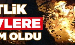 ÇİFTLİK ALEVLERE TESLİM OLDU