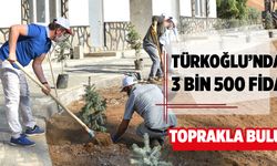 TÜRKOĞLU''NDAN 3 BİN 500 FİDAN