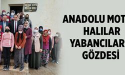 Anadolu motifli halılar yabancıların gözdesi 