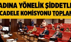 KADINA YÖNELİK ŞİDDETLE MÜCADELE KOMİSYONU TOPLANDI