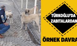 TÜRKOĞLU’NDA ZABITALARDAN ÖRNEK DAVRANIŞ