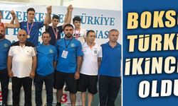 Boksör Türkiye ikincisi oldu