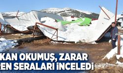 BAŞKAN OKUMUŞ, ZARAR GÖREN SERALARI İNCELEDİ