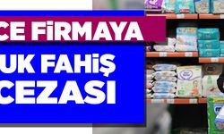 Yüzlerce firmaya milyonluk fahiş fiyat cezası