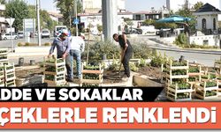 TÜRKOĞLU''NUN CADDE VE SOKAKLARI ÇİÇEKLERLE RENKLENDİ