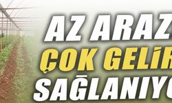 Az araziden çok gelir sağlanıyor!