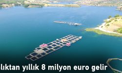 Alabalıktan yıllık 8 milyon euro gelir