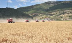 Türkoğlu, tarım alanında güzel gelişmelerle dolu bir yılı geride bıraktı