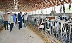 Çiftçi ve hayvancılar için bilgilendirme projesi