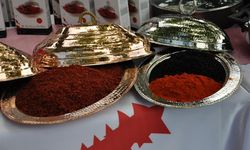 Baharat raflarının kırmızı yıldızı şifayla buluşuyor