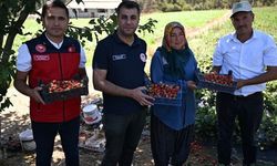 İl Müdürü Bilir ve İlçe Müdürü Şakalar çilek üreticileri ile bir araya geldi