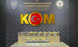 Kaçak kazı operasyonunda 7 şüpheli tutuklandı