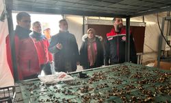 Kar Yağışı Seralarda Hasara Yol Açtı