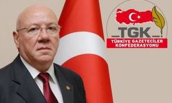 Kolaylı: Özgür basın demokrasinin güvencesidir