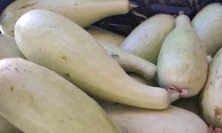 Tezgahların Gözdesi Oldu: Kilosu 50 ile 70 TL Arasında