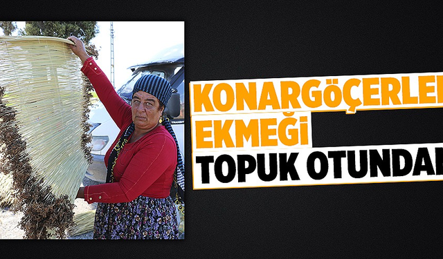 Konargöçerlerin ekmeği topuk otundan