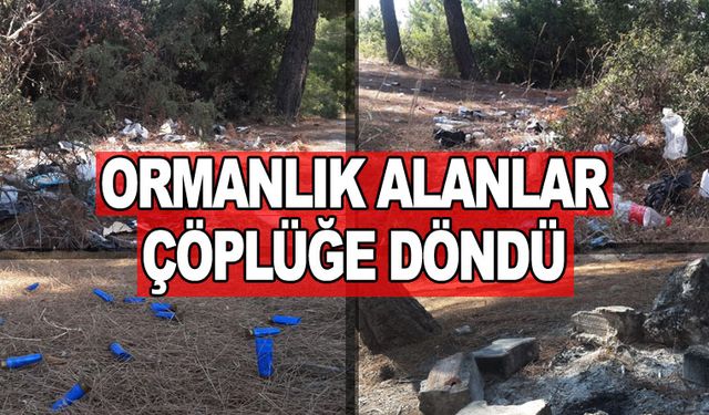 Ormanlık alanlar çöplüğe döndü