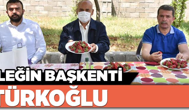 Çileğin başkenti Türkoğlu