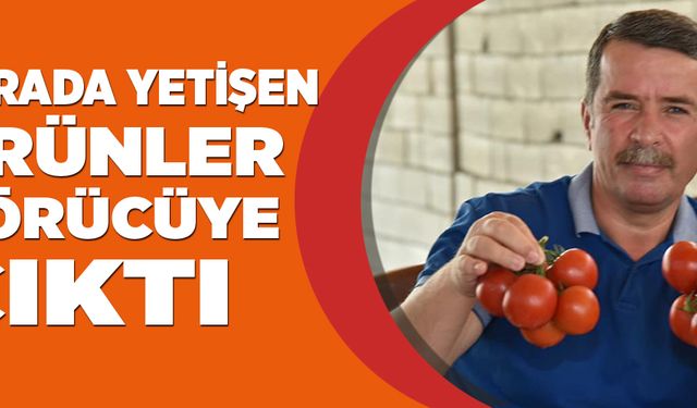 SERADA YETİŞEN ÜRÜNLER GÖRÜCÜYE ÇIKTI