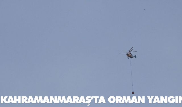 Kahramanmaraş’ta orman yangını