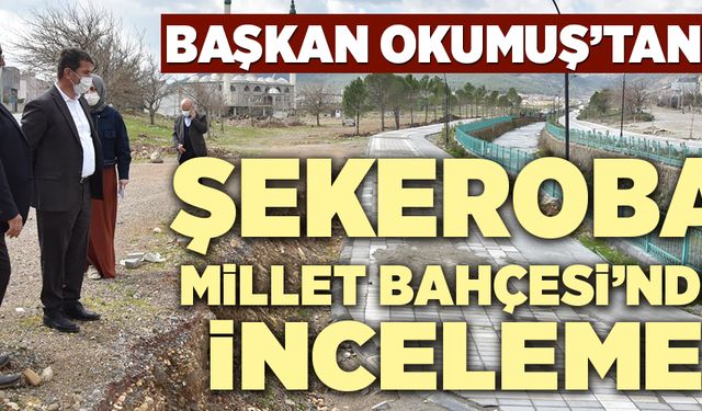 BAŞKAN OKUMUŞ, ŞEKEROBA MİLLET BAHÇESİ’NDE İNCELEME YAPTI