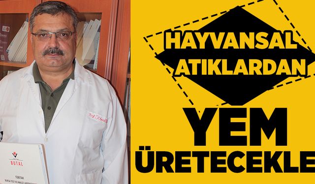 HAYVANSAL ATIKLARDAN YEM ÜRETECEKLER!