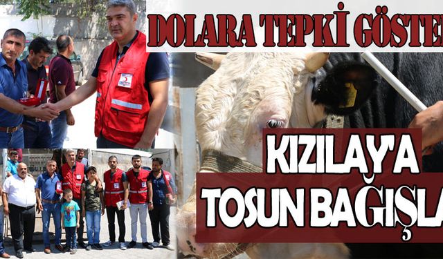 Dolara tepki gösterdi, Kızılay''a tosun bağışladı