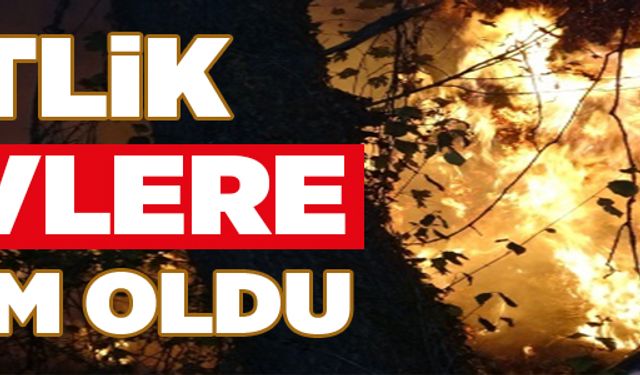 ÇİFTLİK ALEVLERE TESLİM OLDU