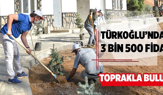 TÜRKOĞLU''NDAN 3 BİN 500 FİDAN