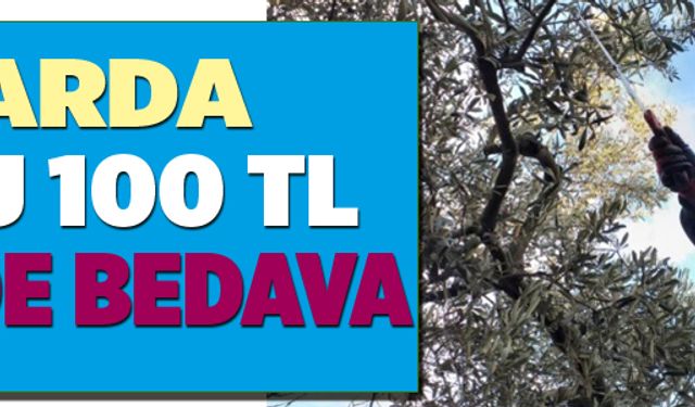 Aktarda kilosu 100 lira, bahçede bedava 