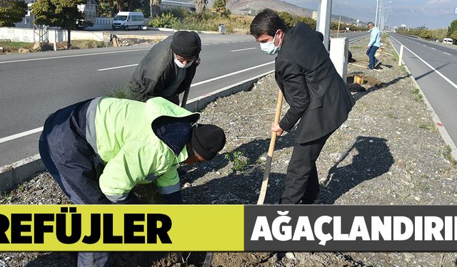 TÜRKOĞLU''NDA REFÜJLER AĞAÇLANDIRILDI