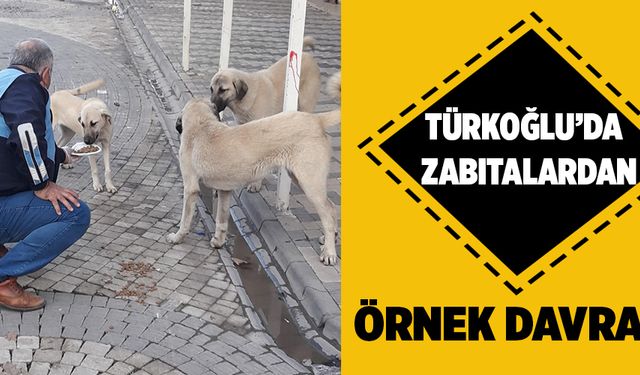 TÜRKOĞLU’NDA ZABITALARDAN ÖRNEK DAVRANIŞ