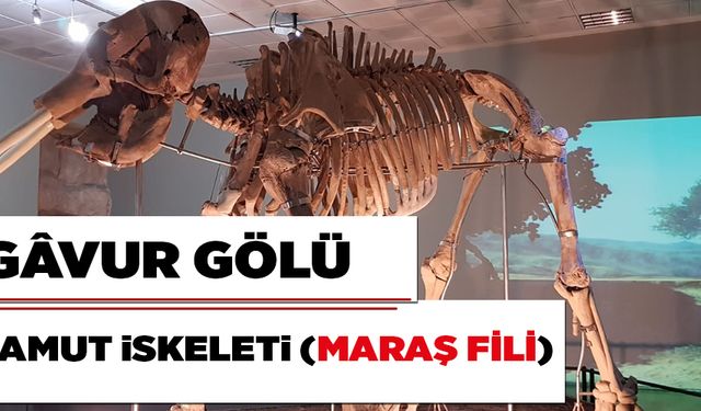 Gâvur Gölü ve Mamut İskeleti (Maraş Fili)