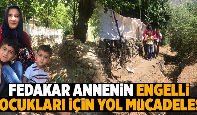 Fedakar annenin engelli çocukları için yol mücadelesi   