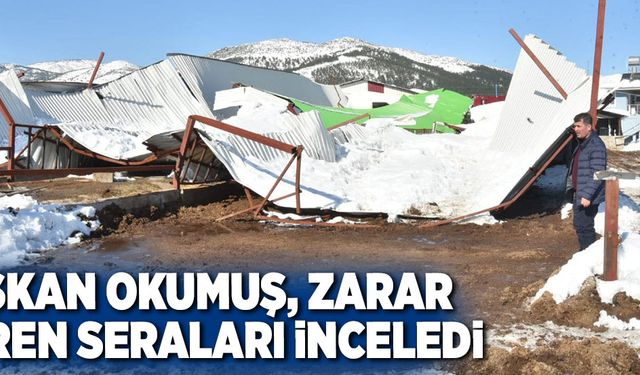 BAŞKAN OKUMUŞ, ZARAR GÖREN SERALARI İNCELEDİ