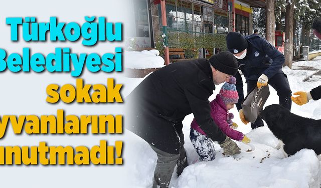 Türkoğlu Belediyesi sokak hayvanlarını unutmadı!