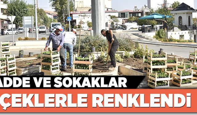 TÜRKOĞLU''NUN CADDE VE SOKAKLARI ÇİÇEKLERLE RENKLENDİ