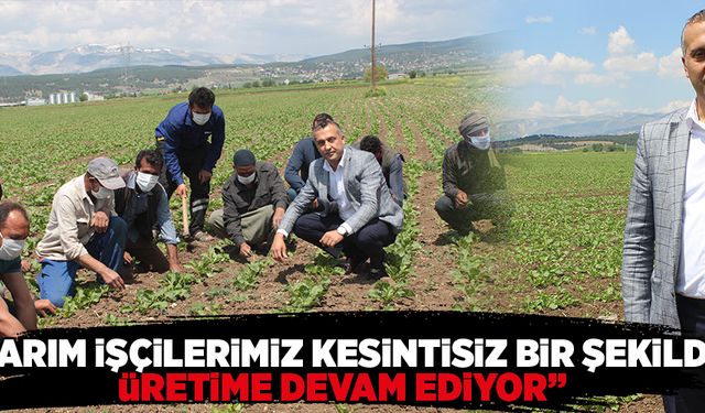 “TARIM İŞÇİLERİMİZ KESİNTİSİZ BİR ŞEKİLDE ÜRETİME DEVAM EDİYOR”