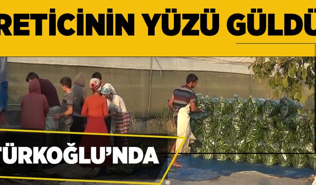 TÜRKOĞLU’NDA ÜRETİLEN SALATALIK YÜZ GÜLDÜRDÜ 