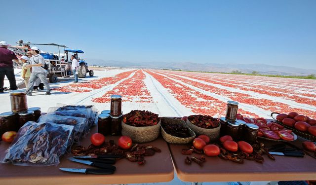 Tarımda Geniş Ürün Yelpazesine Sahip Türkoğlu Ekonomiye Katkı Sağlıyor